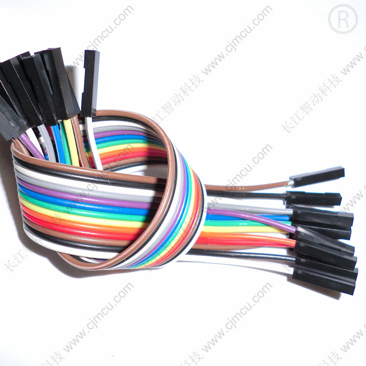 Row DuPont wire length 20CM double head 1