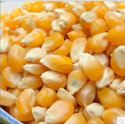 Hamster grain grain grains 150g hamster rabbit ChinChin squirrel love to eat