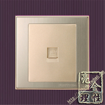 FURTHEA switch socket stainless steel brushed champagne color (corporate online limited edition) telephone socket