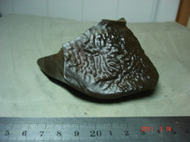 336 Hami magnetic sea mudstone