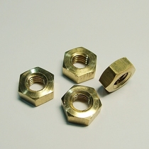 Hex nut 100