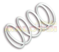 Mallossi large spring BYJaccio fly ra1 Typhoon 125150 Two Italy