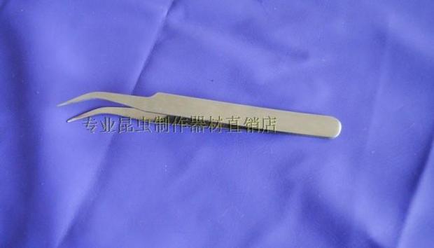 Insect dissection tweezers insect tweezers (elbow pointed tweezers) professional specimen making tools] can be invoiced
