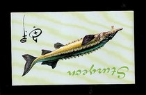 B-SF1994-3 Chinese sturgeon to remember the postal discount