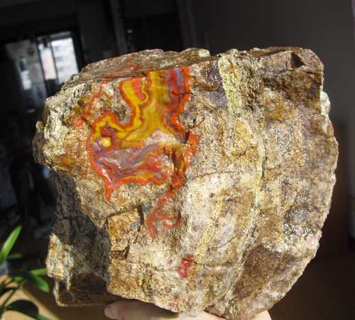 Western Liaoning natural strange stone sightseeing stone fossil tree fossil silicified wood Warring States red onyx fine rough stone 3406