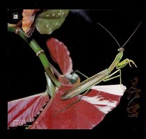 Beijing Stamp Company Issue: 1992-7 Insect Special Commemorative Stamps Postal Discount