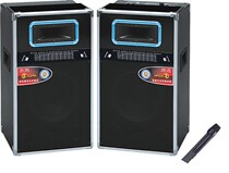 Lerina W10 Professional With Source Speaker Stage Speaker Outdoor Speaker Remote Speaker Active Pair Box Microphone