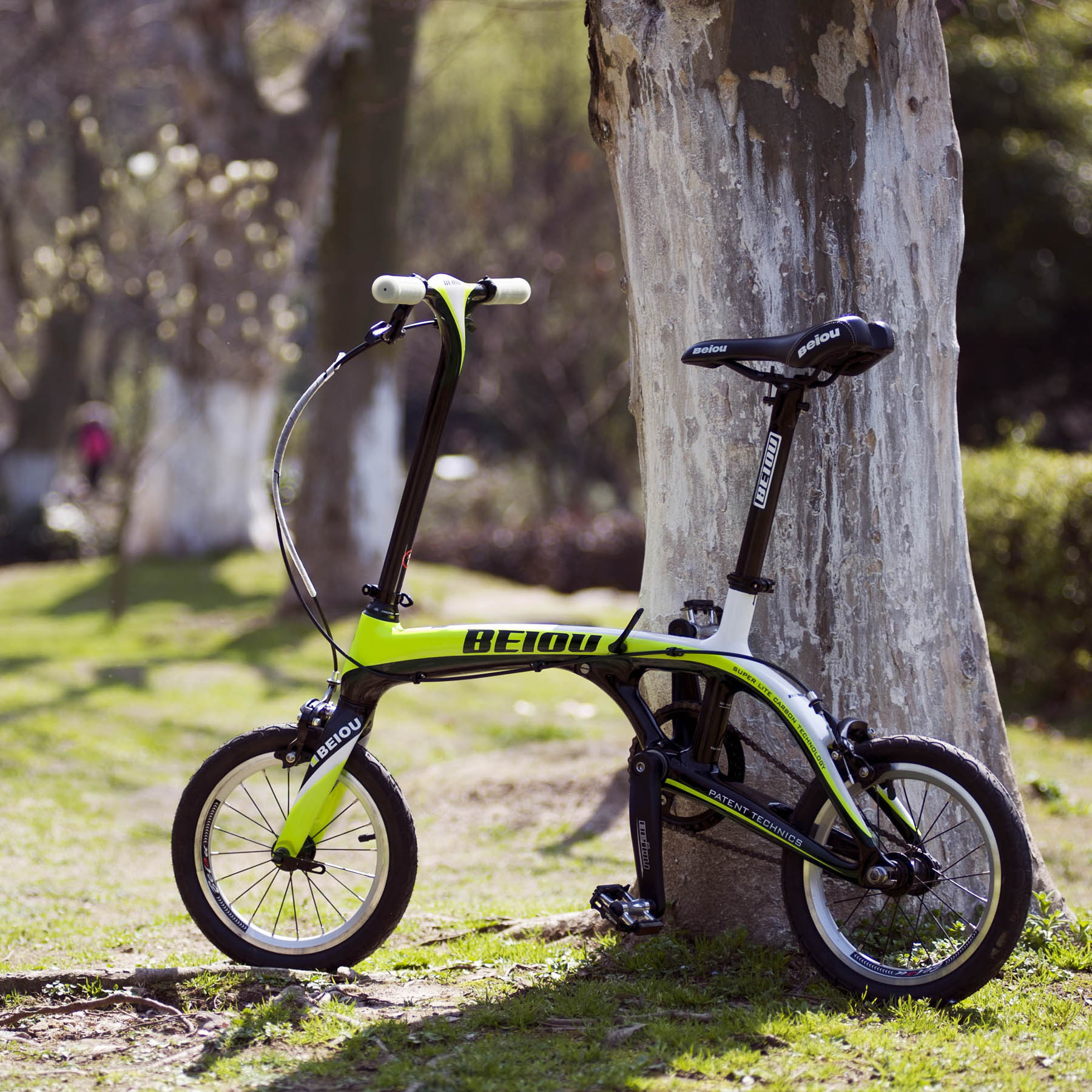 frog folding bike