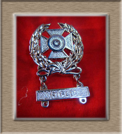 US US ARMY Shooter Qualification Chapter Chest Badge Metal Badge Highlights