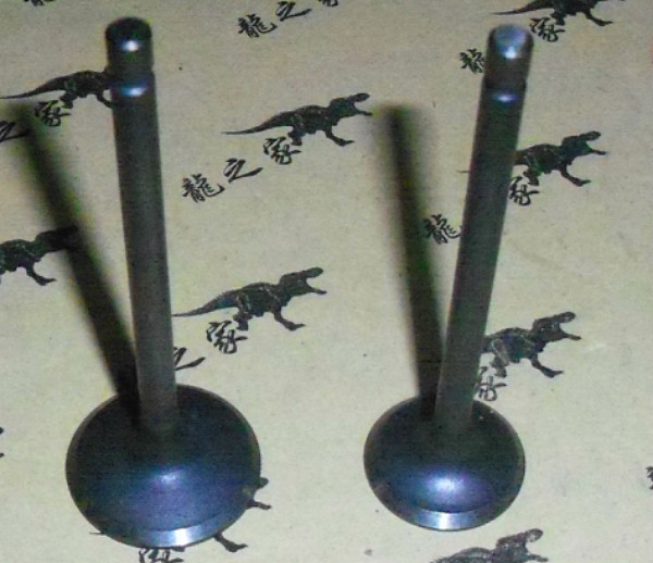 CG150/CG175/Zhujiang 150/Honda 150/Qianjiang 150/Valve/Motorcycle intake and exhaust valves