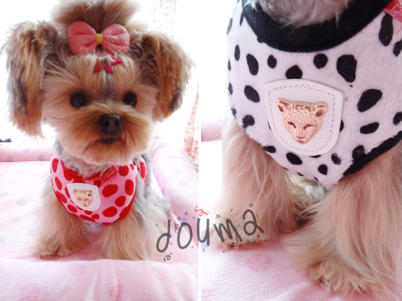 BAO WEN control rock wind handsome pet traction dog Teddy Yorkshire chest baby bag chest and back traction