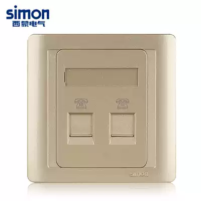 Simon Switch Socket 55 Series Champagne Gold Two Phone Socket N55224-56