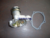 Changhe Suzuki North Dosing Star F10 1 0 Eidel 7101465 Water pump with sealing pad