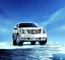 Goods Baby (scheduled price difference shipping)