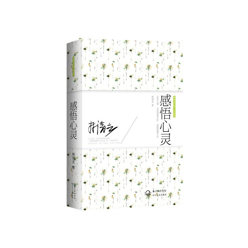 感悟心灵 正版图书 林清玄