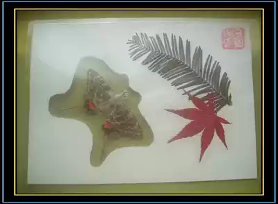 China Lushan Leaf True Butterfly Specimen Tourism Commemorative Card 4 yuan each