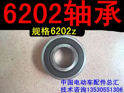 Electric vehicle 6202 bearing Brushless motor bearing