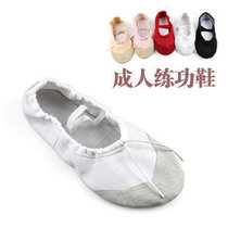 Practice Shoes Adults Dance Shoes Tai Chi Soft Bottom Martial Arts Ballet Shoes Cloth Leather Tai Chi Shoes Cat Paw Shoes