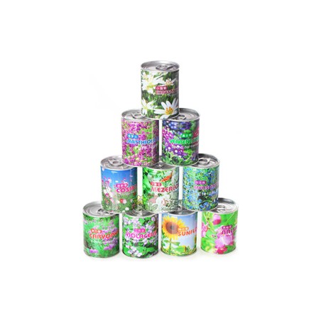 绿植盆栽花卉 易拉罐花卉套装 新品铁罐花 室内 办公室迷你植物
