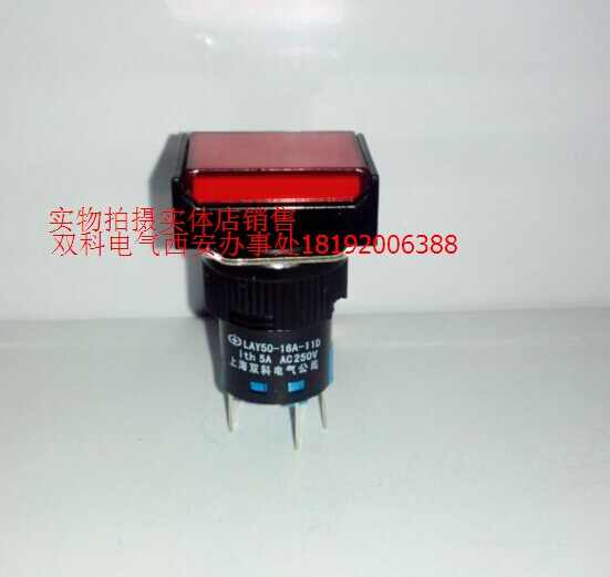 Bicolor rectangular button LAY50-16AJ-11D R21 6V open one closed reset with lamp button