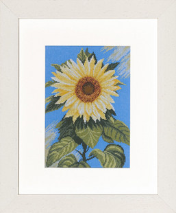 Jedi Dutch original dress LA Lanarte35045 Cross embroidered kit 27CT printed cloth spot physical picture