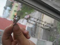 Qing Dynasty Old Silver Handy Woman Headlines with Red Glass Bears Silver Wire Woven Phoenix Hanging 3 Silver Chains*