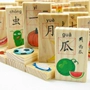 Nhân vật Trung Quốc Domino 100 mảnh gỗ biết chữ domino Đồ chơi giáo dục của trẻ em Khối xây dựng Domino đồ chơi domino giáo dục