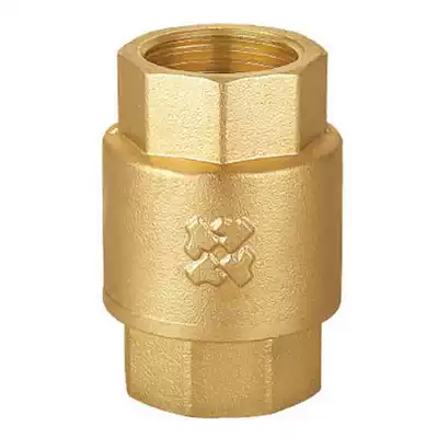 Reger brass internal thread vertical check valve wire port check valve Reverse valve DN15 20 25 4 6 points