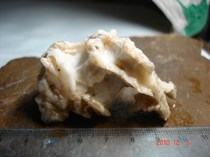 12206 Horseshoe Mountain Fengling Stone