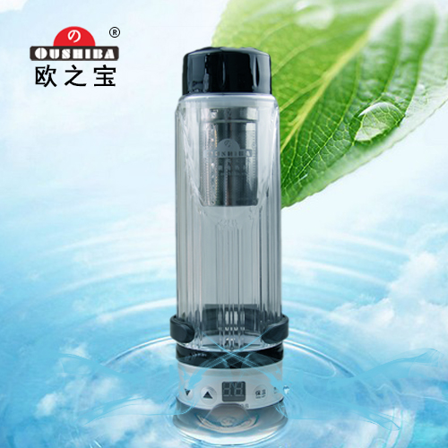 欧之宝 车载电热杯车上水杯车用烧水瓶 12 24V货车加热水杯大容量