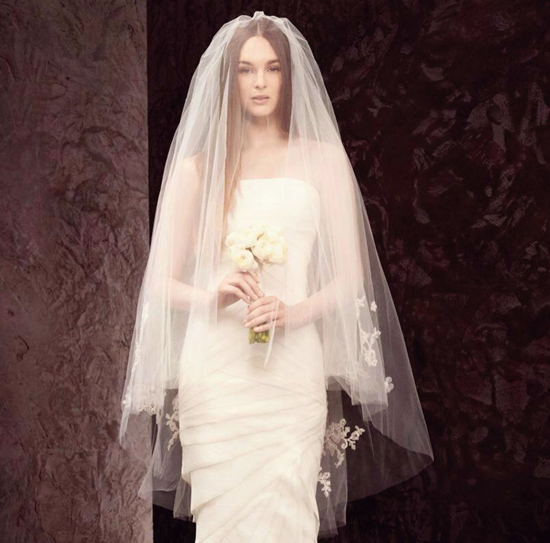 (Kitty)2015 new very wang double layer soft yarn wedding lace wedding veil Jiangsu, Zhejiang and Shanghai free shipping