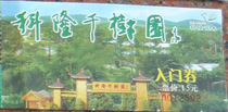 Cologne Thousand Tree Park ticket fare: 15 yuan used for collection