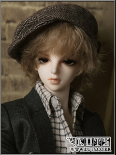 (LUTS) Model Delf DION (CUSTOMS UNION)