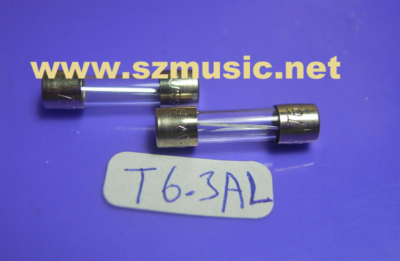 Import T6 3AL250V 5mm × 20mm Insurance Tube effectors Slow-capacity fuses
