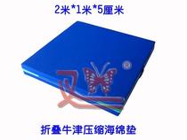 Manufacturer sells sponge cushion dance mat Gymnastics Mat Exercises Pads Dance House Special Mat Folding Mat