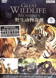 野生动物奇观 精装DVD【BBC】