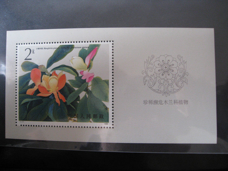 Stamps T111 RARE AND ENDANGERED WOOD LANKO BOTANICAL SHEETLET ORIGINAL GLUE FULL SAMPLE Photo 5