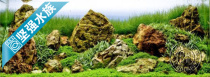 HD double-sided fish tank West Wei SEAVIEW background painting background paper 30cm45cm60cm high green sea picture