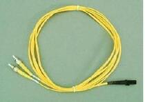 Network-level MTRJ-FC single-mode dual-core 3 m fiber optic jumper