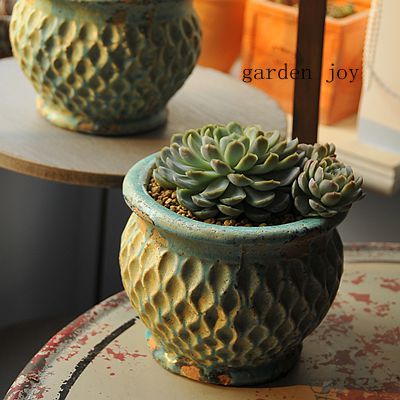 Fall in love with the garden) foreign trade to do old country style flowerpot fleshy flowerpot blue love