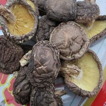 Jianning farm mushroom Basswood mushroom Shiitake mushroom wood shiitake mushroom wild mushroom Dry food 250g