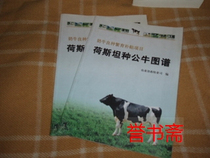 Dairy cows benign breeding subsidy project Horstein species of bull atlas
