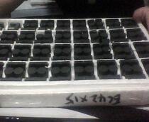 Core EC42 High frequency core skeleton PC40 DMEGC