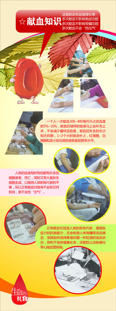 669海报印制展板素材742献血知识流程图