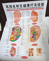 Human Body Wall Chart Human Acupoints Map Ear Reflex Zone Health Therapy Wall Chart Human Figure 090