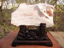 Ice kind of big windfall with branch wool raw stone Burmese wood petrified tree jade ornament 92632#shanxiqilang