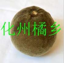 3 get one get one get 5 get 2 get 6 get 3 get 3 get 10 get 6 get 6 get old positive maohua state orange red fruit anti-smog and degreasing