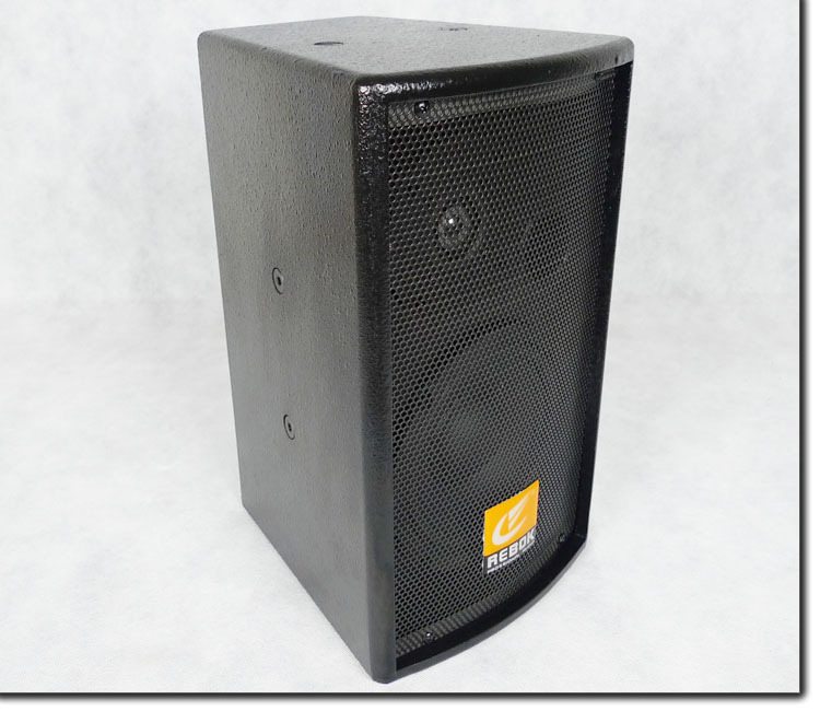 Conference room storefront Multimedia Classroom wall-mounted sound hoisting speaker 100W Professional sound