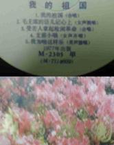 The Cultural Revolution Records 33 1 3 Go to glue wood Cultural Revolution Smell Strong and Good