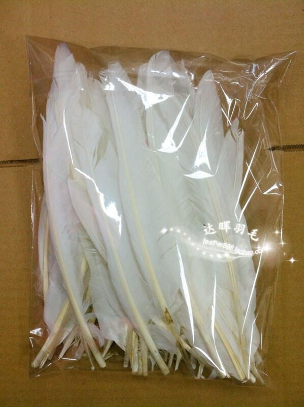 White Goose Feather Large Straight Knife, Hunchback Feather Knife Plumes, DIY Feather Accessories, Clothing Accessories, 28-35cm, 50 Pieces White Goose Feather Large Straight Knife, Hunchback Feather Knife Plumes, DIY Feather Accessories, Clothing Accessories, 28-35cm, 50 Pieces